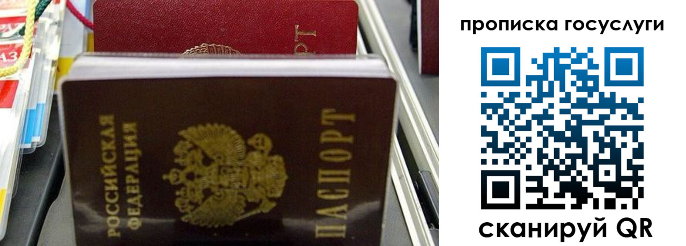 где прописаться в Чистополье